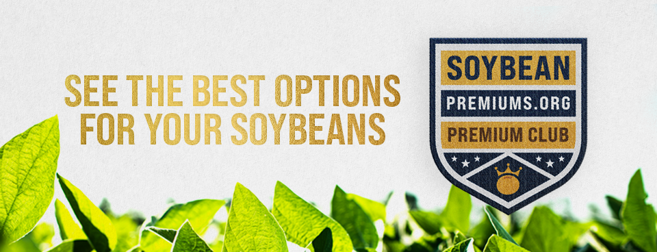 see the best options for your soybeans